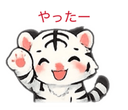 826620294
