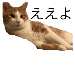 826621806