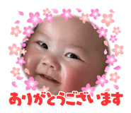 826630010