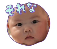 826630016