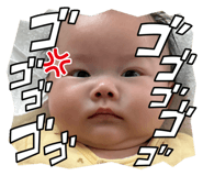 826630020