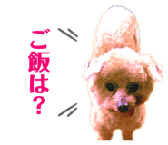 826630035