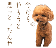 826630043