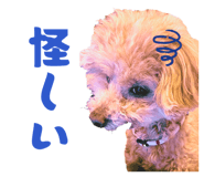 826630045