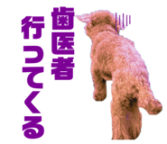 826630046