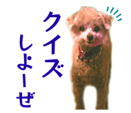 826630047