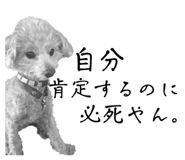 826630053