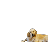 826634683