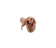 826634688