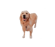 826634694