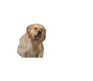 826634696