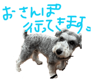 826636430
