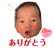 826637296