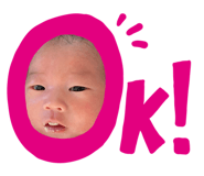 826637306