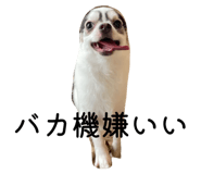 826640331