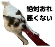 826640334