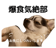 826640335