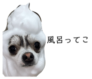 826640336