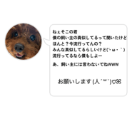 826643578