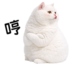 826645880