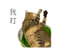 826646246