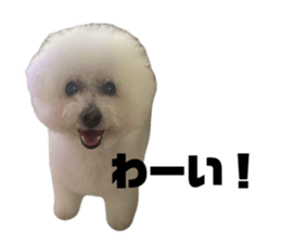 826647527
