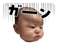 826647946