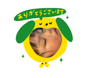 826658360