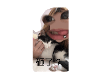 826659531