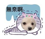 826660509