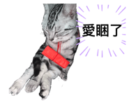 826660510