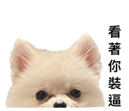 826660520