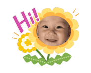 826662542