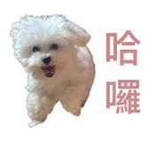 826668089