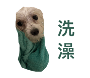 826668091
