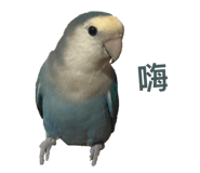 826668099