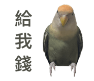 826668102