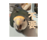 826668107