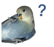 826668108