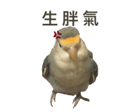 826668110
