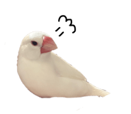 826668112