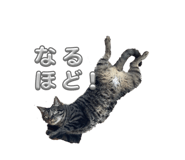 826670124