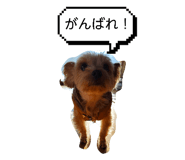 826670845