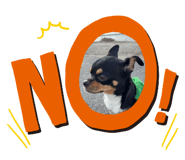 826670858