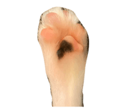 826672960