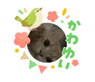 826679380