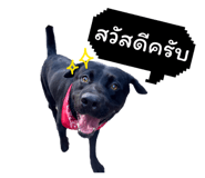 826680945