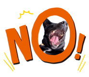 826680950