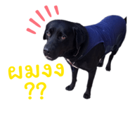 826680969