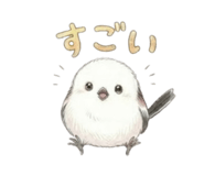 826692053